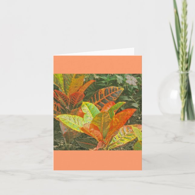 "Colorful Tropical Plants" Card (Front)