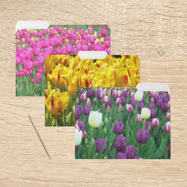 Colorful Tulip Blooms Floral File Folder (In Situ)
