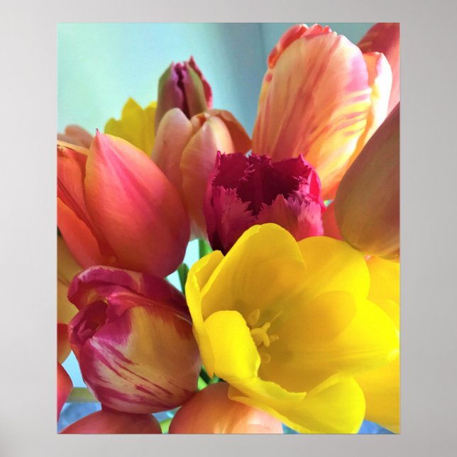 Colorful Tulip Bouquet Poster (Front)