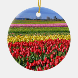Colorful tulip field ceramic ornament