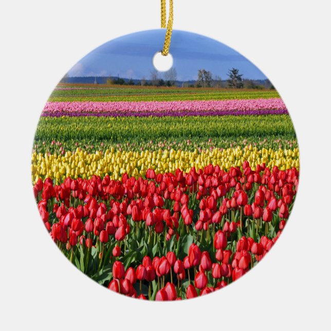 Colorful tulip field ceramic ornament (Front)