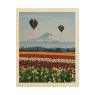 Colorful Tulip Flower Field with Hot Air Balloons Wood Wall Art