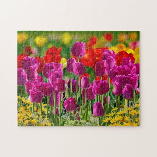 Colorful Tulip Flower Garden  Jigsaw Puzzle