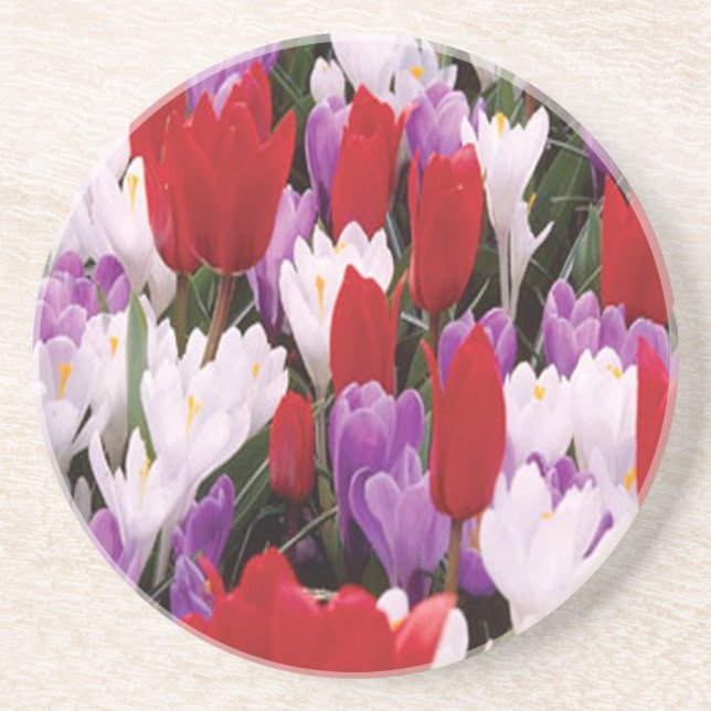 Colorful Tulip Flowers Coaster (Front)