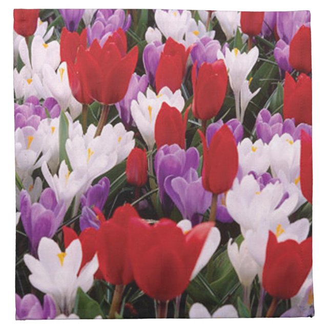 Colorful Tulip Flowers Napkins (Front)