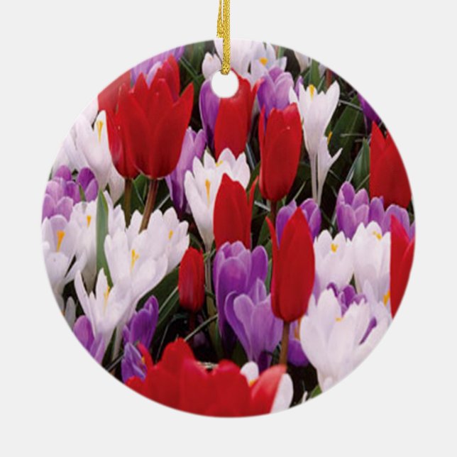 Colorful Tulip Flowers Ornament (Back)