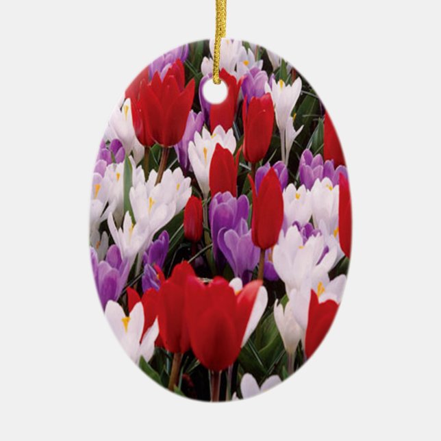 Colorful Tulip Flowers Ornament (Front)