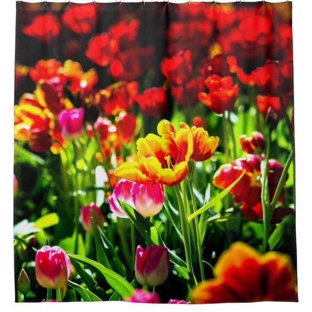 Colorful Tulip Flowers Shower Curtain (Front)
