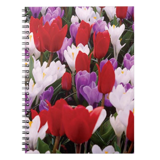 Colorful Tulip Flowers Spiral Notebook (Front)