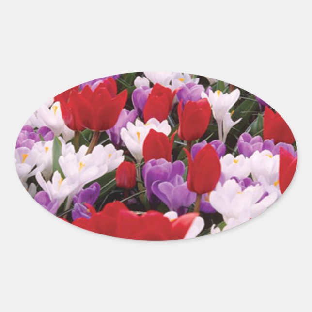 Colorful Tulip Flowers Stickers (Front)