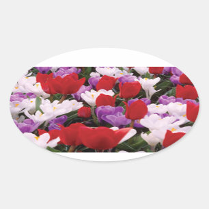 Colorful Tulip Flowers Stickers