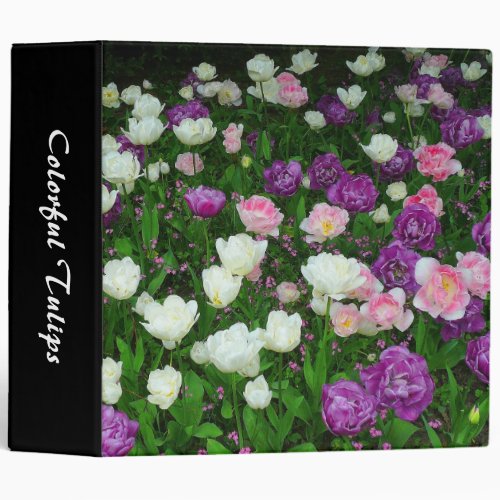 Colorful Tulips 20in Binder