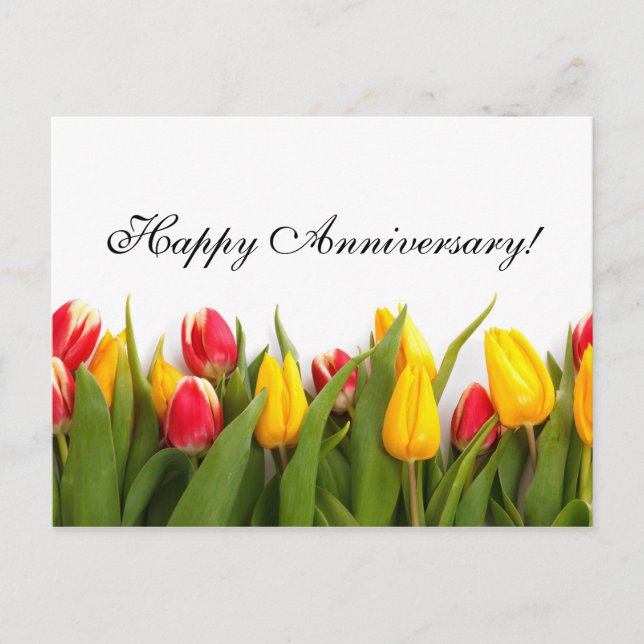 Colorful Tulips Anniversary Postcard (Front)