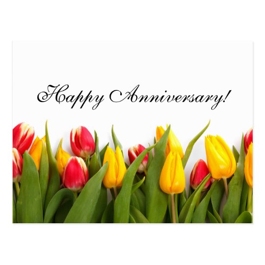 Colorful Tulips Anniversary Postcard | Zazzle.com