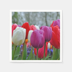 Colorful tulips beauty sticker napkins