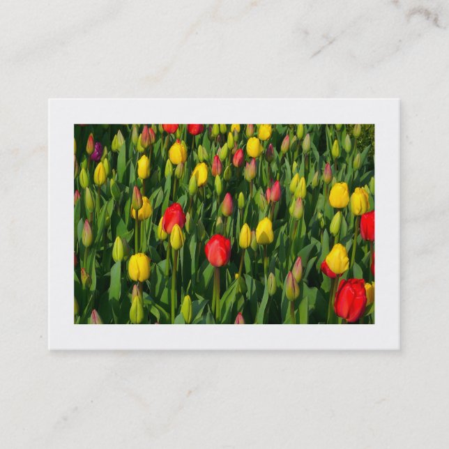 Colorful Tulips Business Card (Front)