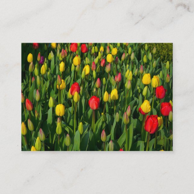 Colorful Tulips Business Card (Front)