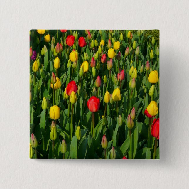 Colorful Tulips Button (Front)