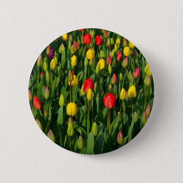 Colorful Tulips Button (Front)