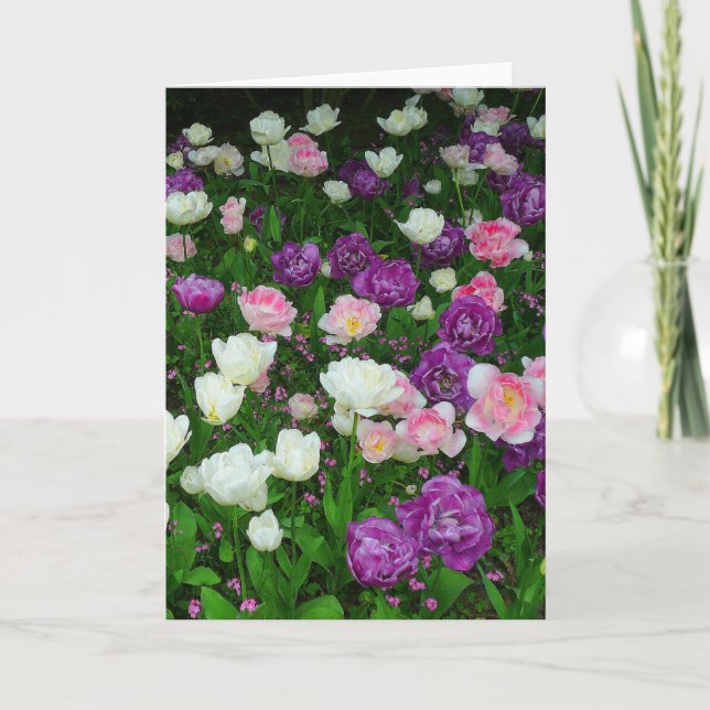 Colorful Tulips Card (Front)