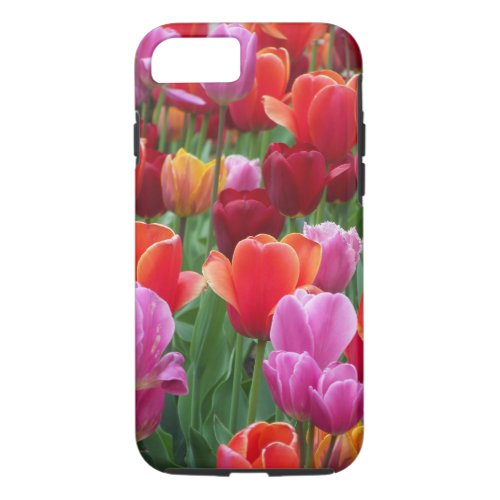 Colorful Tulips iPhone 87 Case