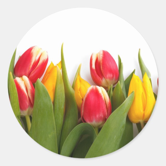 Colorful Tulips Classic Round Sticker (Front)