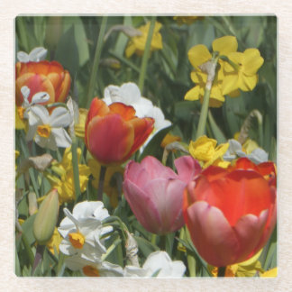 Colorful Tulips & Daffodils Flowers Coaster