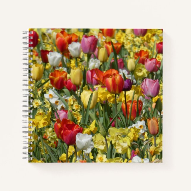 Colorful Tulips & Daffodils Flowers Notebook (Front)