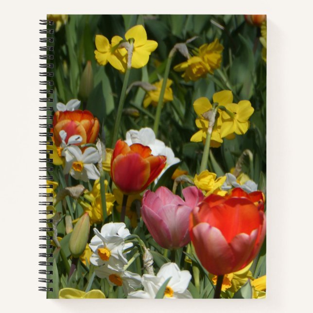 Colorful Tulips & Daffodils Notebook (Front)