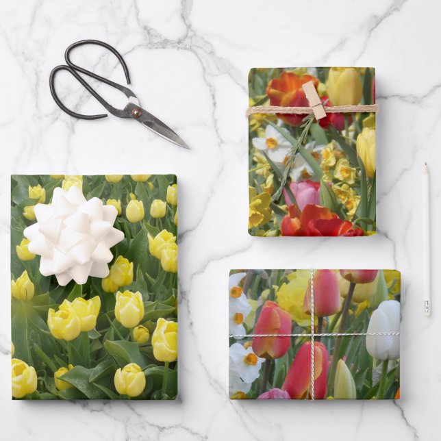 Colorful Tulips & Daffodils Wrapping Paper Sheets (Front)