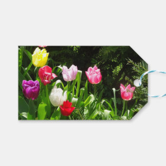 Colorful Tulips DIY Gift Tag