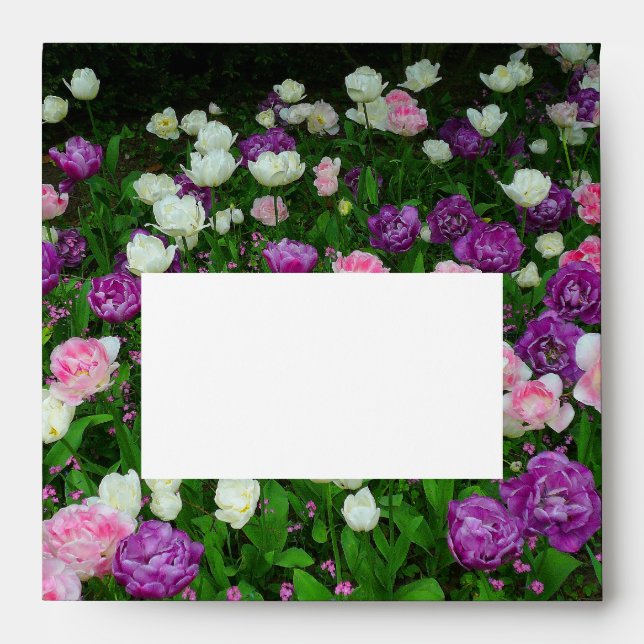 Colorful Tulips Envelope (Front)