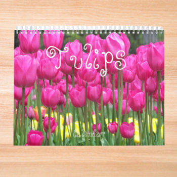 Colorful Tulips Floral Photographic Calendar by northwestphotos at Zazzle