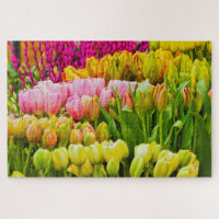 Colorful Tulips Flower Market