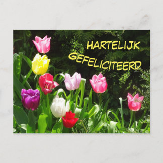 Colorful Tulips Happy Birthday Postcard