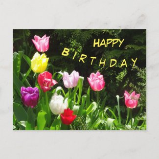 Colorful Tulips Happy Birthday Text Postcard