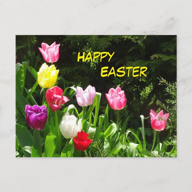 Colorful Tulips Happy Easter Postcard (Front)