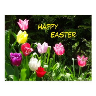 Colorful Tulips Happy Easter Postcard