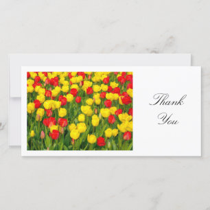 Colorful Tulips II - Thank You Card