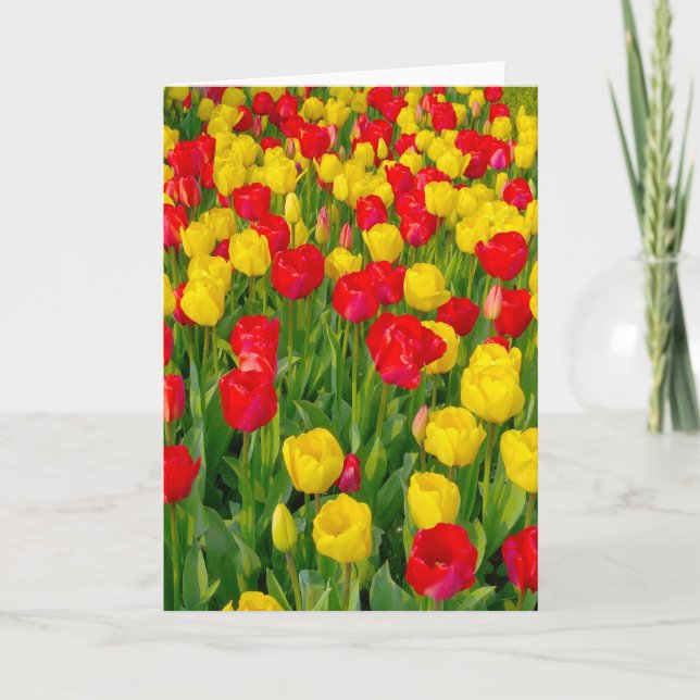Colorful Tulips III - Vertical Card (Front)
