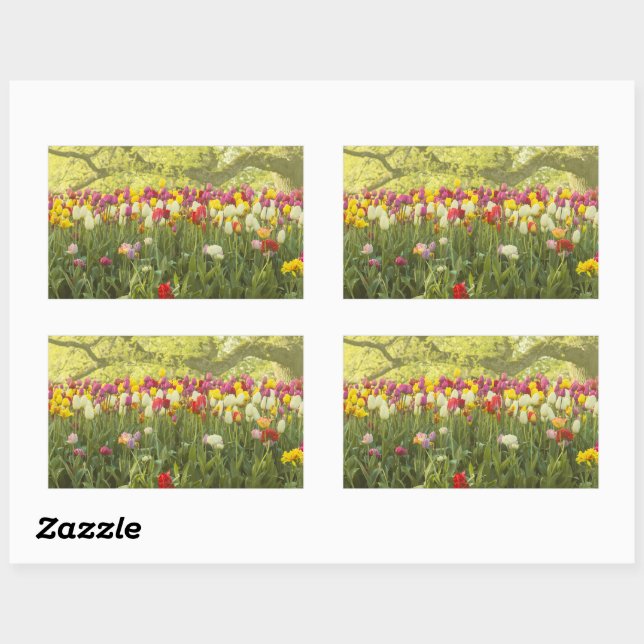 Colorful tulips in a park 2 rectangular sticker (Sheet)