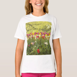 Colorful tulips in a park   T-Shirt