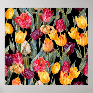 Colorful tulips, isolated black background. poster