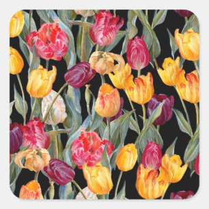Colorful tulips, isolated black background. square sticker