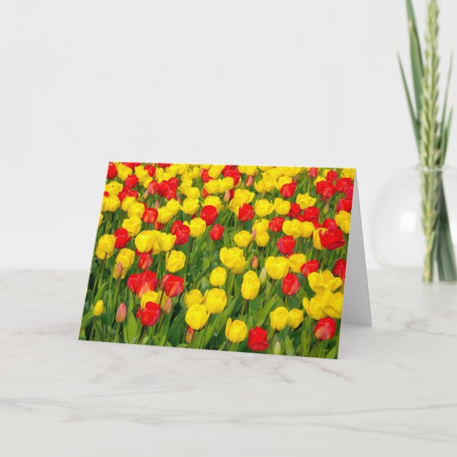 Colorful Tulips IV Card (Front)