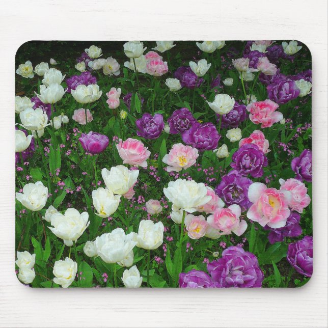 Colorful Tulips Mouse Pad (Front)