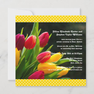 Colorful Tulips Photo -5x5 Wedding Announcement