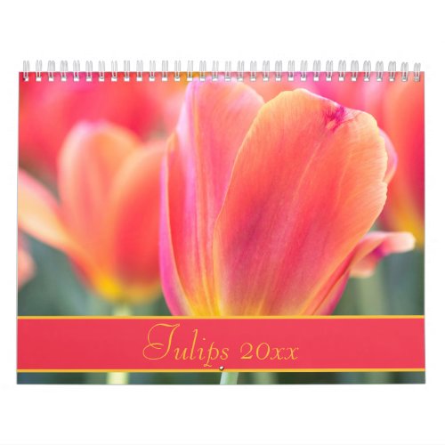 Colorful Tulips Photography Calendar