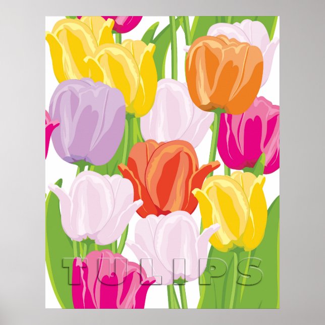 Colorful Tulips Poster (Front)