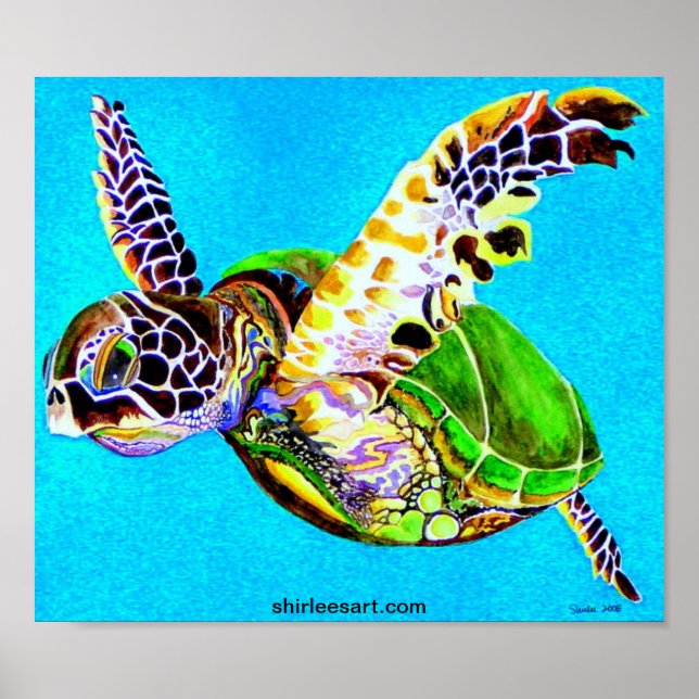 colorful turtle poster (Front)